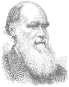 Imagen de Charles Darwin
